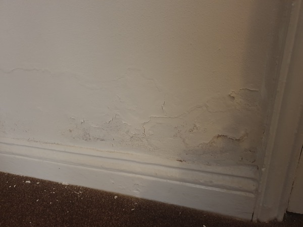 Damp proof - can anybody help me?