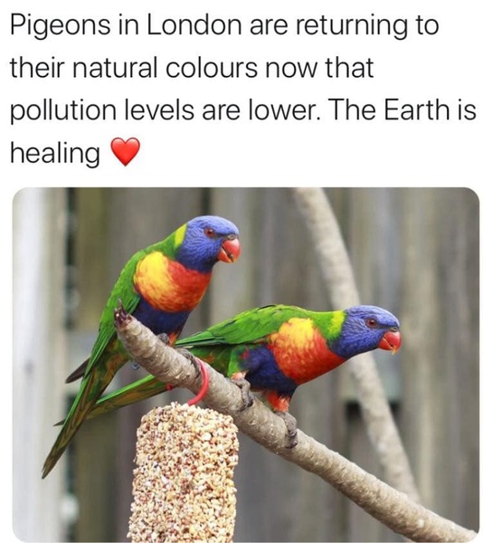 Westminstenders: All bets are off