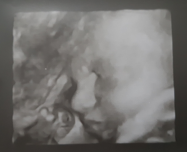 Due May 2020 (thread 6)