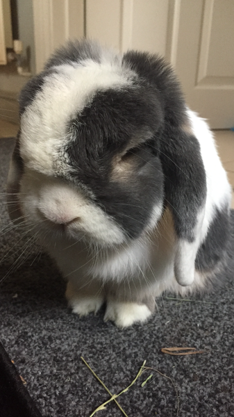 The 'Positive Mental Health' Corona virus thread Part III