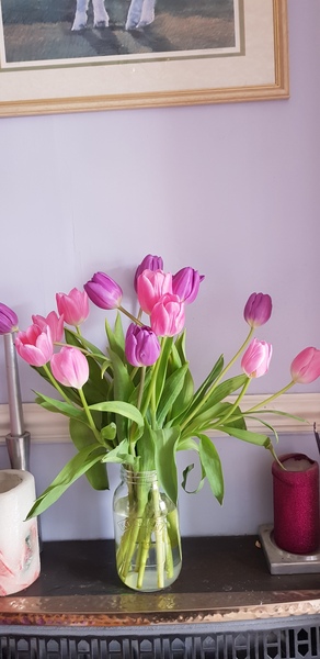 Show me your favourite thing in your house