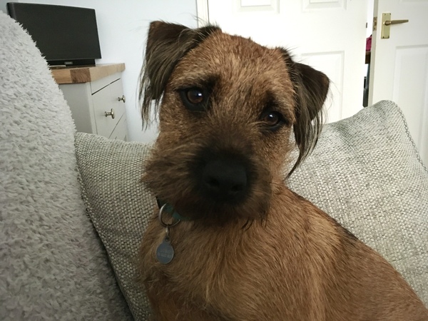 What's your dog called?