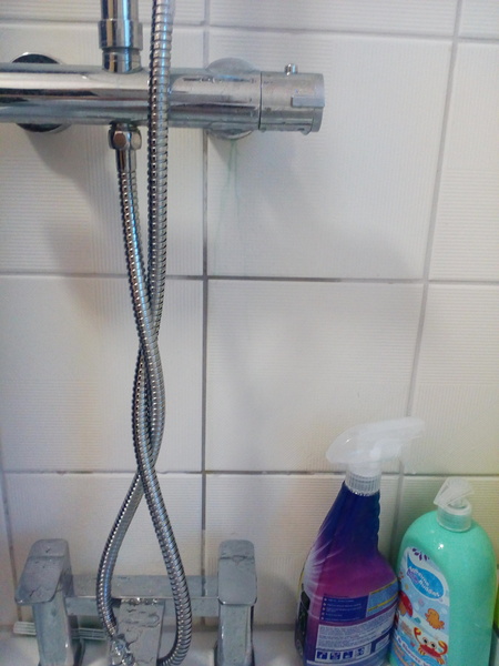 Green staining coming from shower. Shower or plumbers fault.