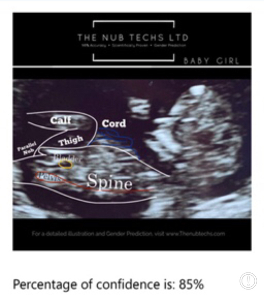 Were they correct- Nub Techs The Definitive Answer!!