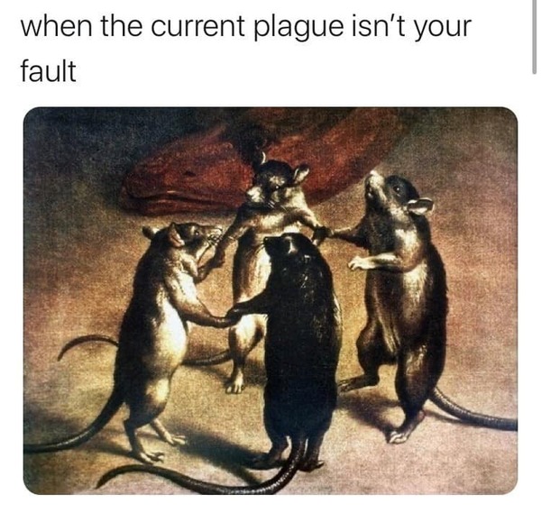The hopefully amusing pics/memes thread