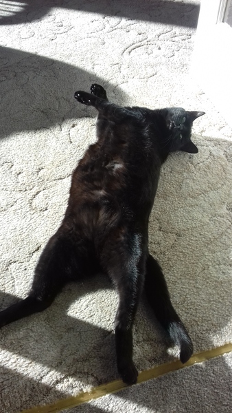 Comfy!