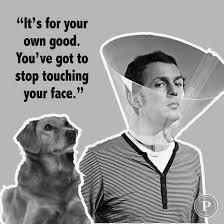 AIBU to ask for your favourite isolation memes?