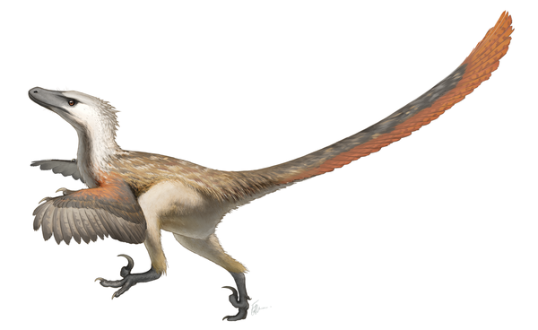 Favourite Dinosaur