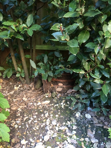 Westminstenders: Events...