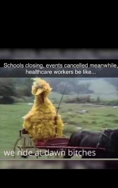 AIBU to ask for your favourite isolation memes?