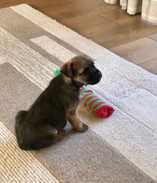 The 'Positive Mental Health' Corona virus thread Part II