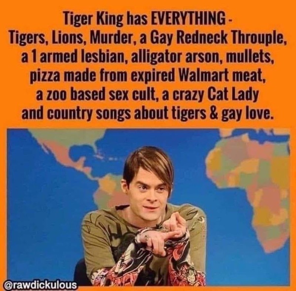 Is anyone else watching Tiger King?
