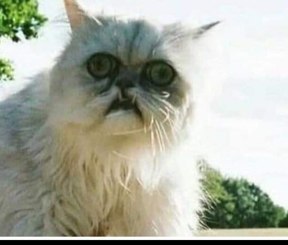 Prepping for a pandemic... 13