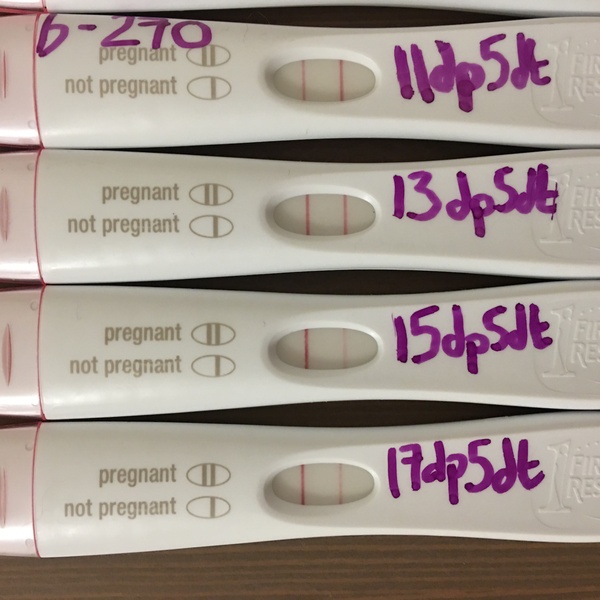 Progesterone pesserie mask miscarriage ???