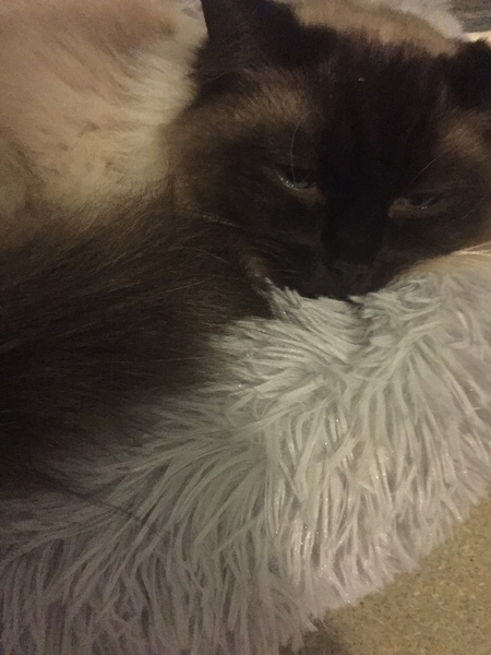 Bring your worries over here, the Night Shift are here to mind them.