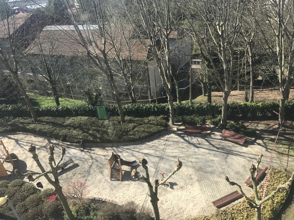 Coved-19 spain