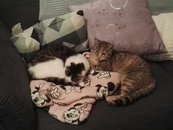 Managing Money Mindfully in March with the Friendly Frugaleers