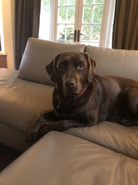 A thread for calm - peace, happy thoughts, support.