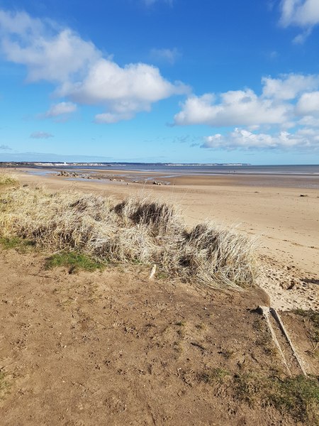 Any Witches Here? Part 10.