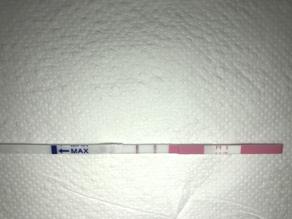 Positive opk?