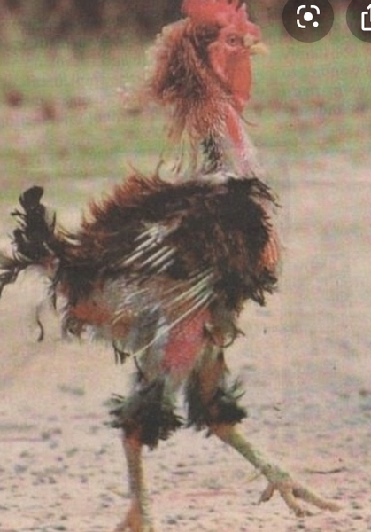 Anyone fancy a support thread for business owners sorting through the fallout of this mess?