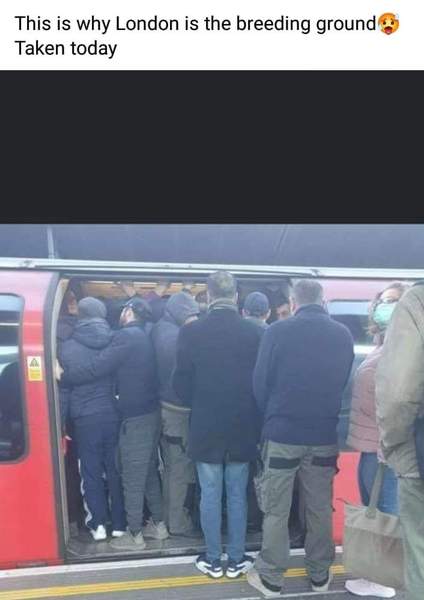 Worried About Corona Virus- thread 32