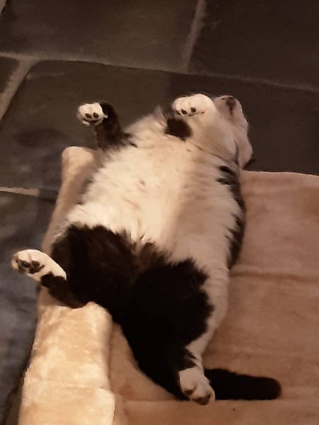 Picture thread