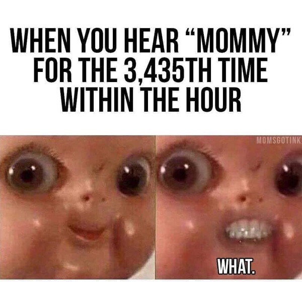 AIBU to ask for your favourite isolation memes?