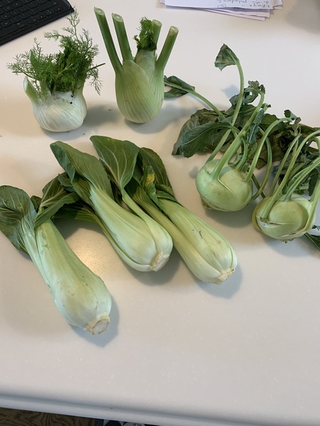 Can you identify these veg?