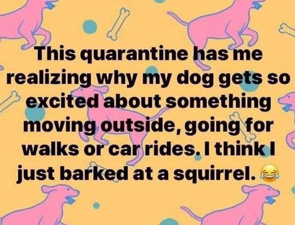 AIBU to ask for your favourite isolation memes?