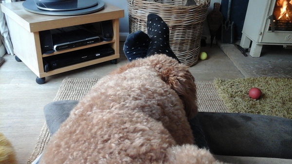 Poodle then