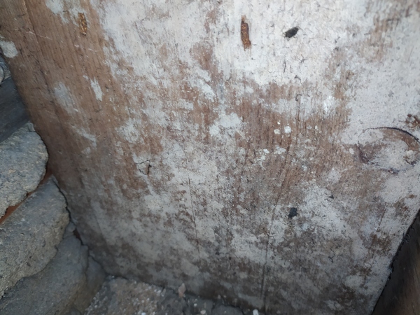 Mysterious smell - help! (update)