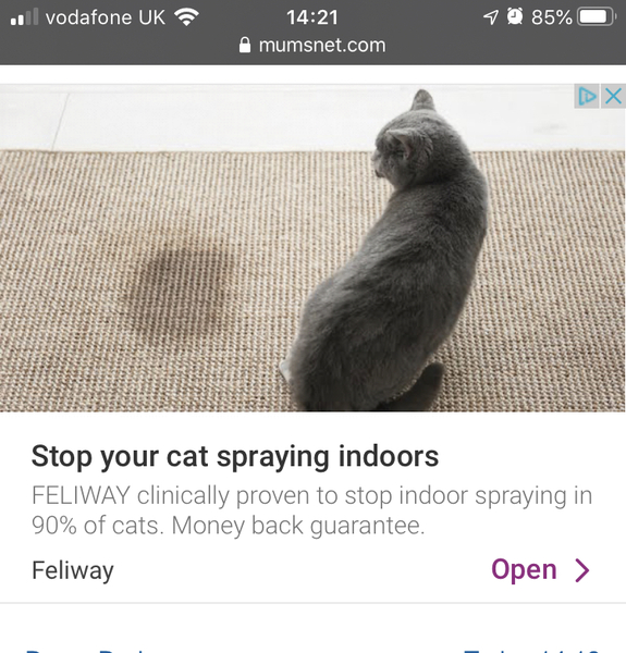 Wibu to get rid of the sodding cat?