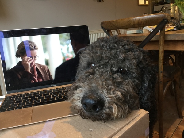 A thread for calm - peace, happy thoughts, support.