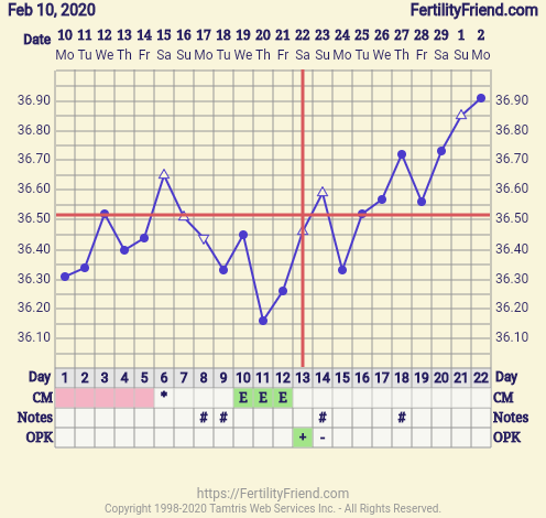 When did I ovulate? Please help