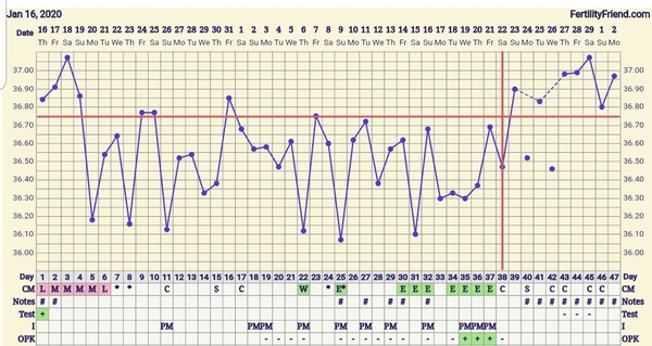 Trying to conceive first child with PCO/PCOS or irregular long cycles