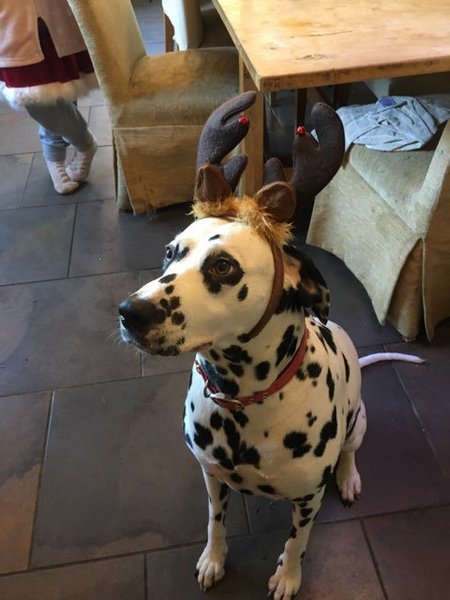 Bring your worries over here, the Night Shift are here to mind them.