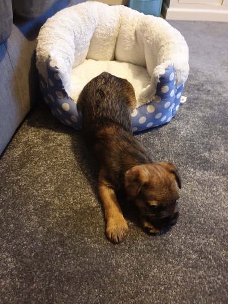 The 'Positive Mental Health' Corona virus thread Part II