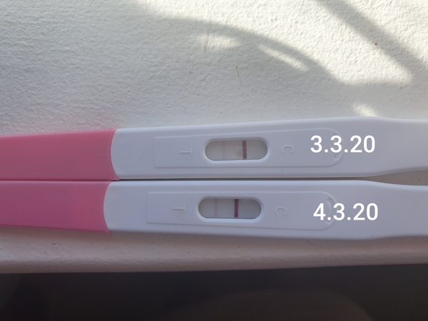 TTC after miscarriage