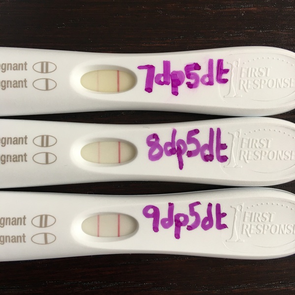 November 2020 Babies?