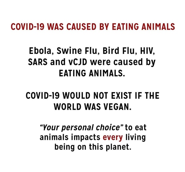 To think that maybe being vegan could've stopped this.