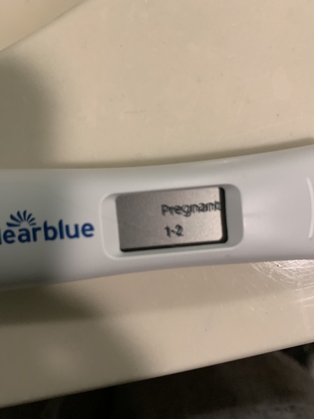 6 positive tests but negative blood work