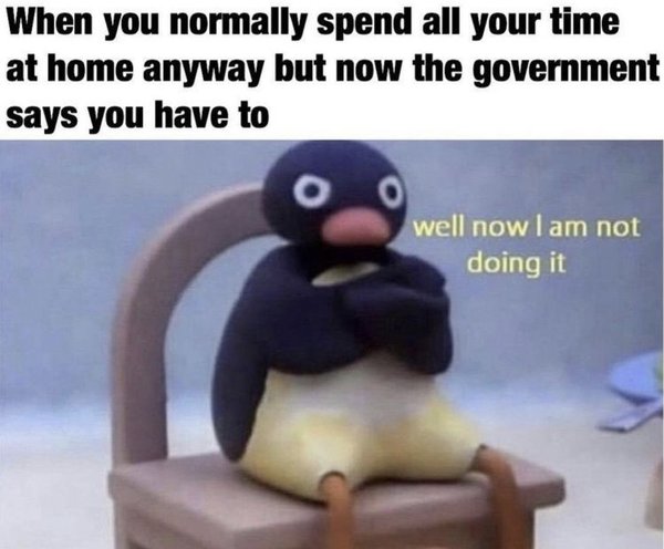 The hopefully amusing pics/memes thread