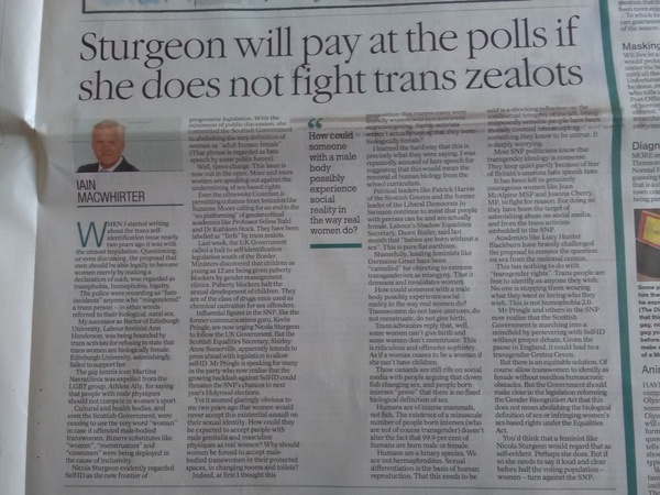 Herald Scotland article