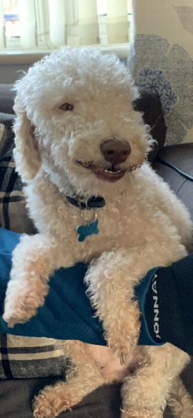 March supportive chat thread
