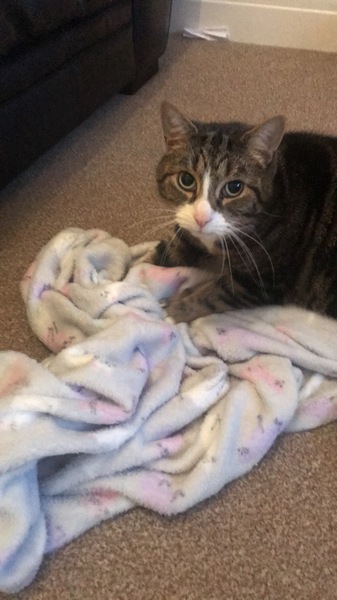 March supportive chat thread