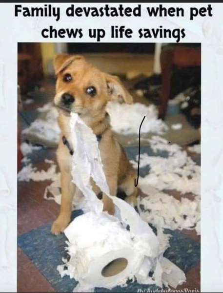 To start a lighthearted thread for coronavirus themed puns