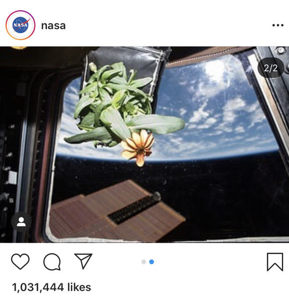 The 'Positive Mental Health' Corona virus thread Part III