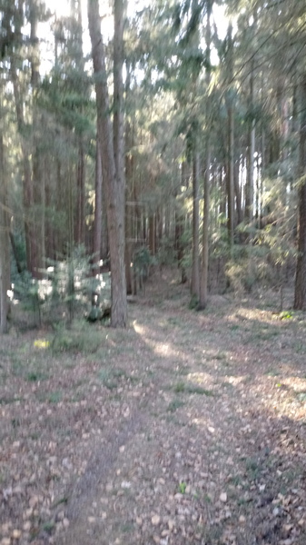 Teenagers being off school - guidance on going out.