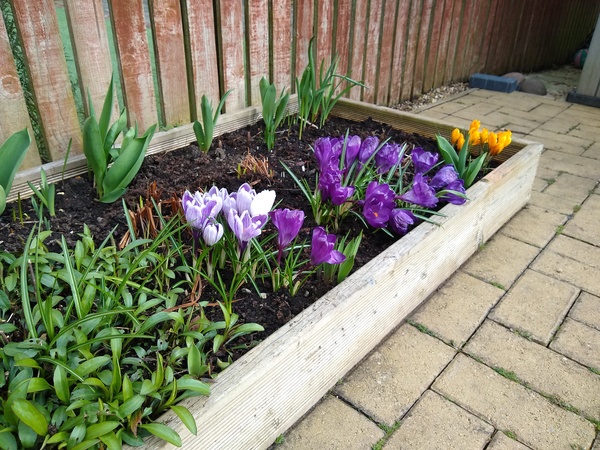 Westminstenders: Events...